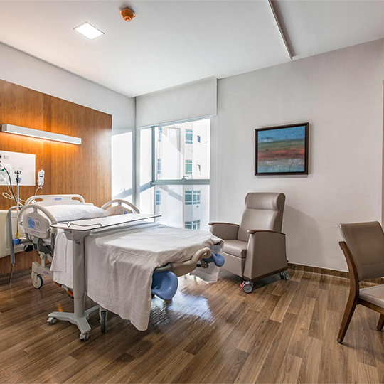 Project Gallery Image