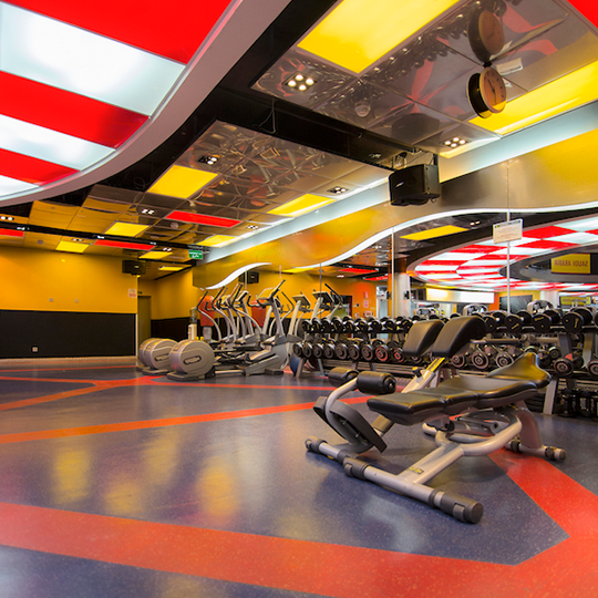 Project Gallery Image