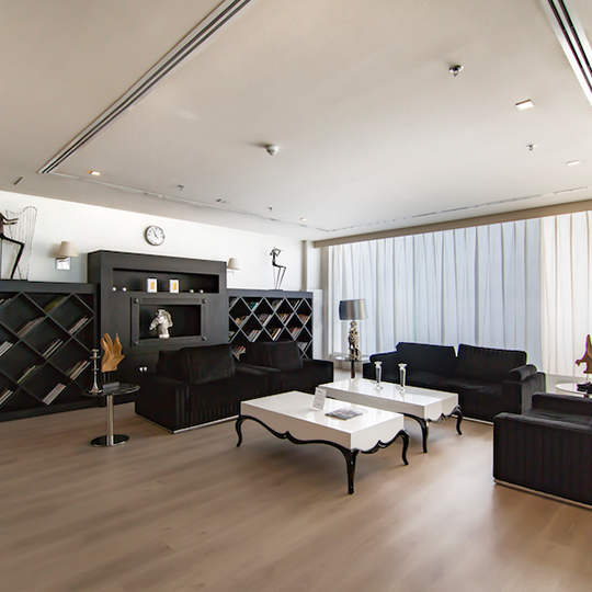 Project Gallery Image