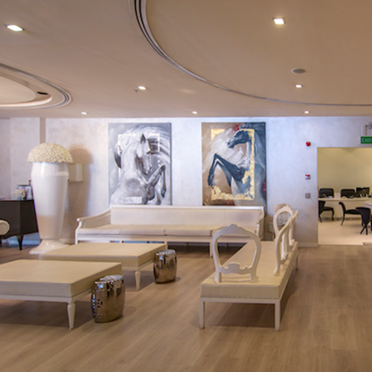 Project Gallery Image