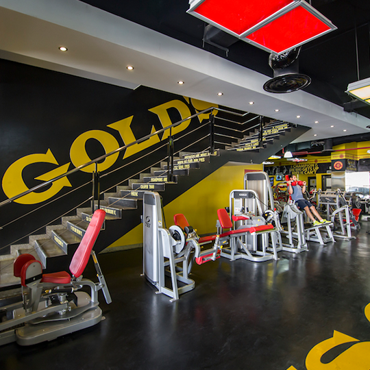 Project Gallery Image