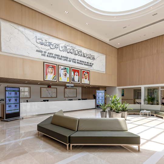 Project Gallery Image