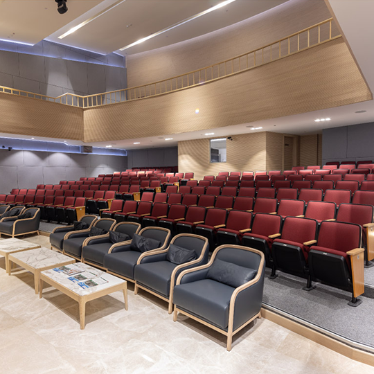 Project Gallery Image