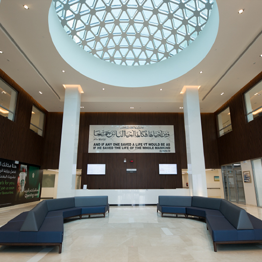 Project Gallery Image