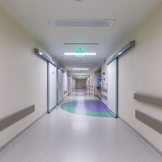 Project Gallery Image