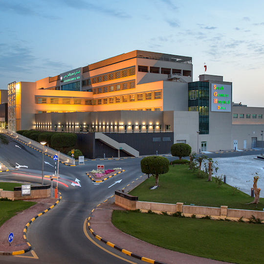 Project Gallery Image