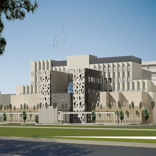 Project Gallery Image