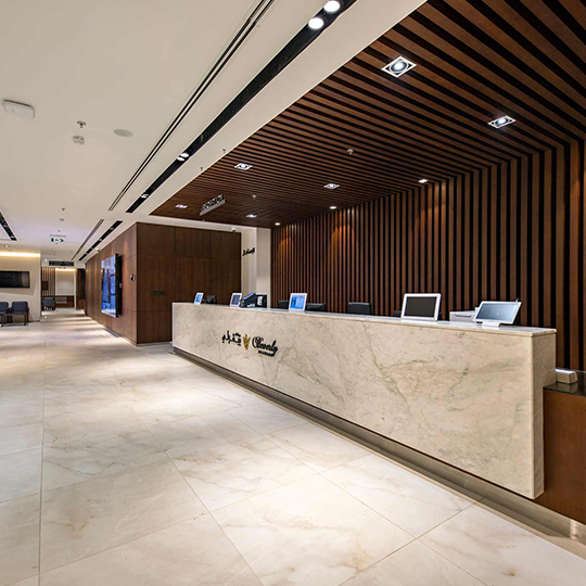 Project Gallery Image