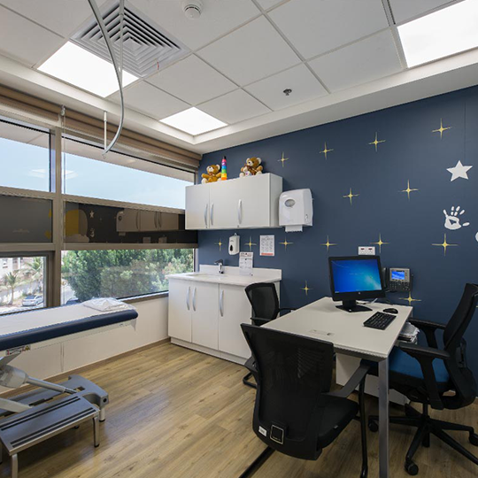 Project Gallery Image