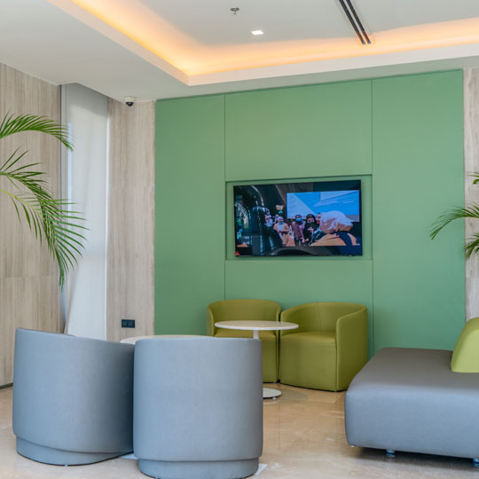 Project Gallery Image