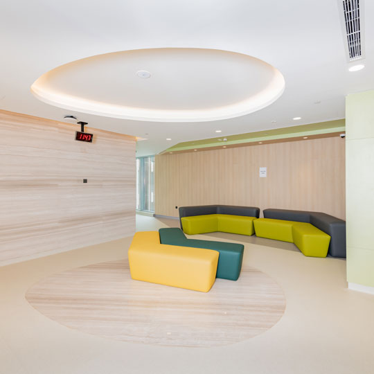 Project Gallery Image