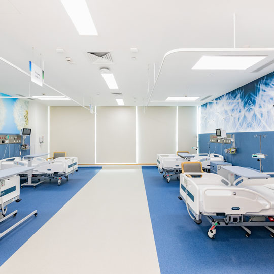 Project Gallery Image