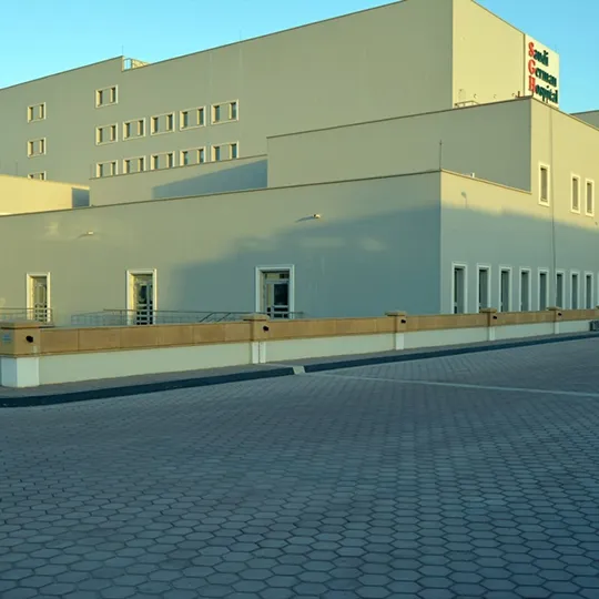 Project Gallery Image