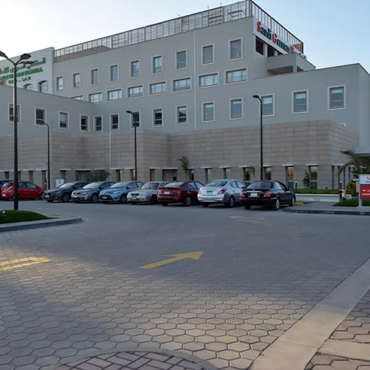 Project Gallery Image