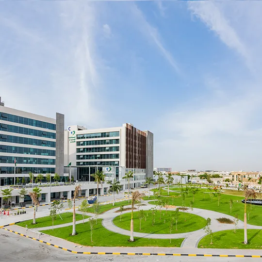 Project Gallery Image