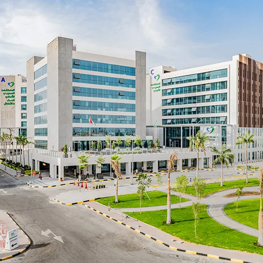 Project Gallery Image