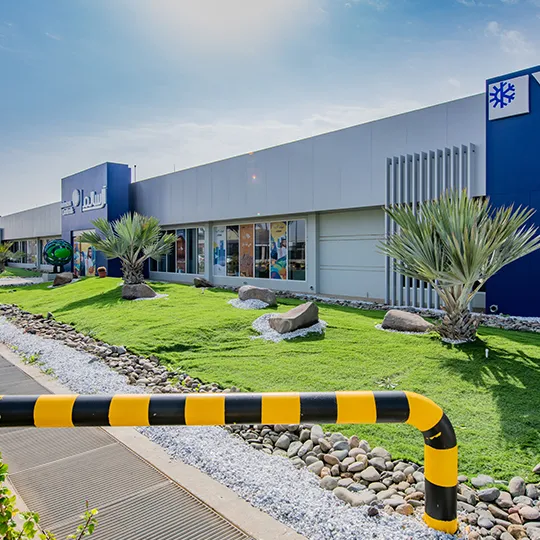 Project Gallery Image