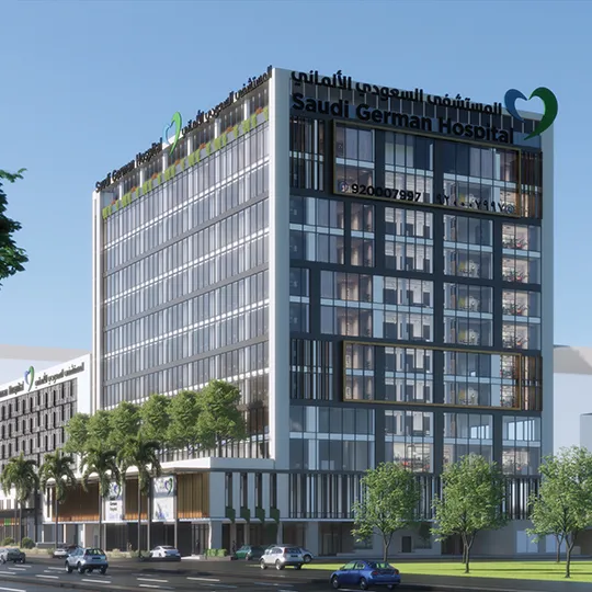 Project Gallery Image