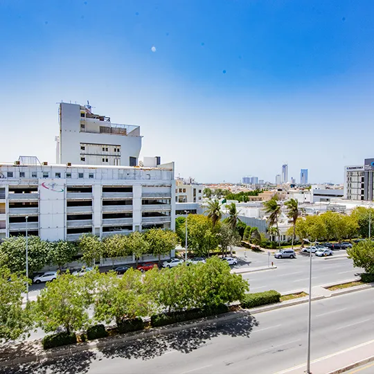 Project Gallery Image