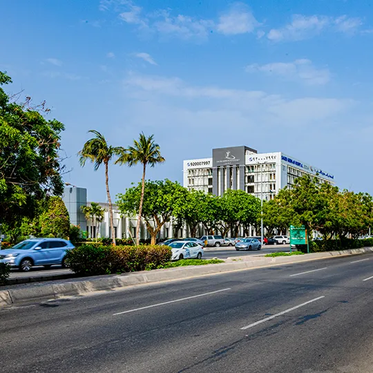 Project Gallery Image