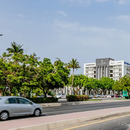 Project Gallery Image