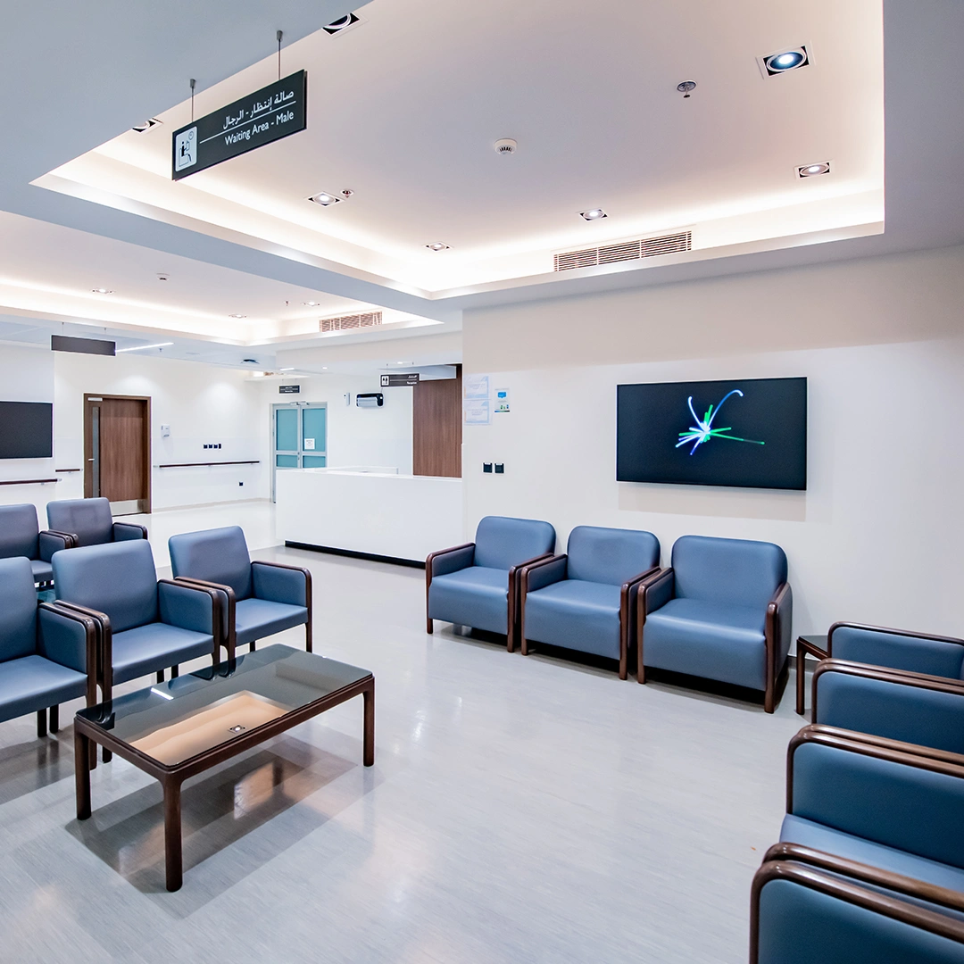 Project Gallery Image