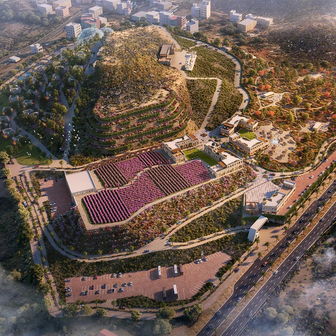 Project Gallery Image