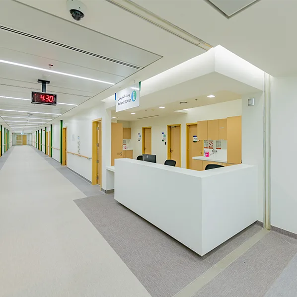 Project Gallery Image