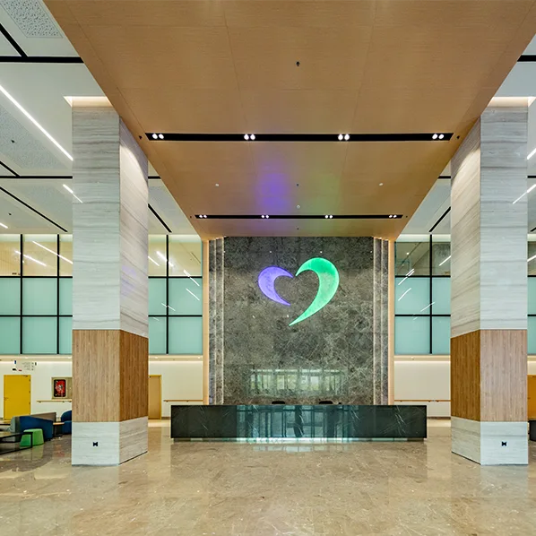 Project Gallery Image