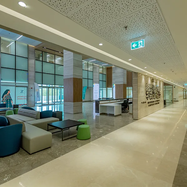 Project Gallery Image